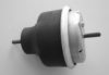 BUGIAD BSP20240 Engine Mounting